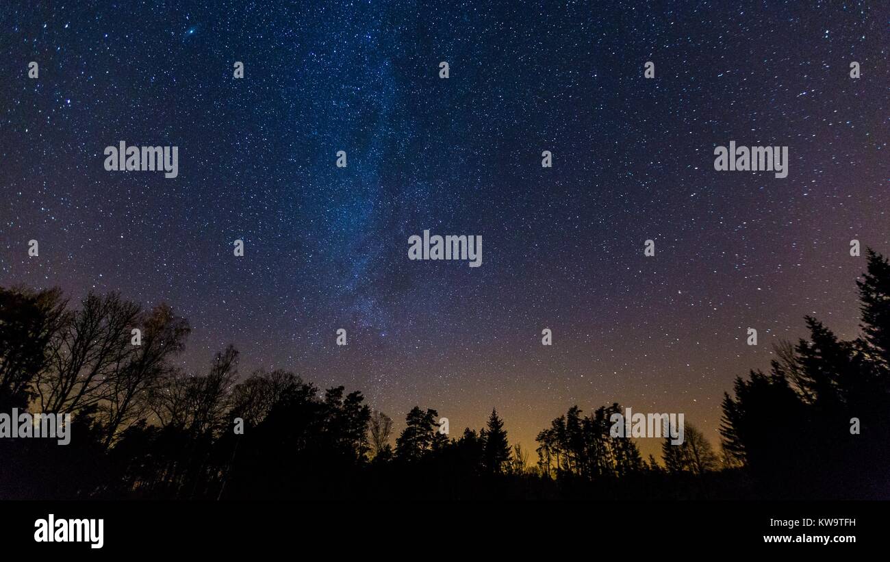 Starry night sky with Milky way over forest Stock Photo - Alamy