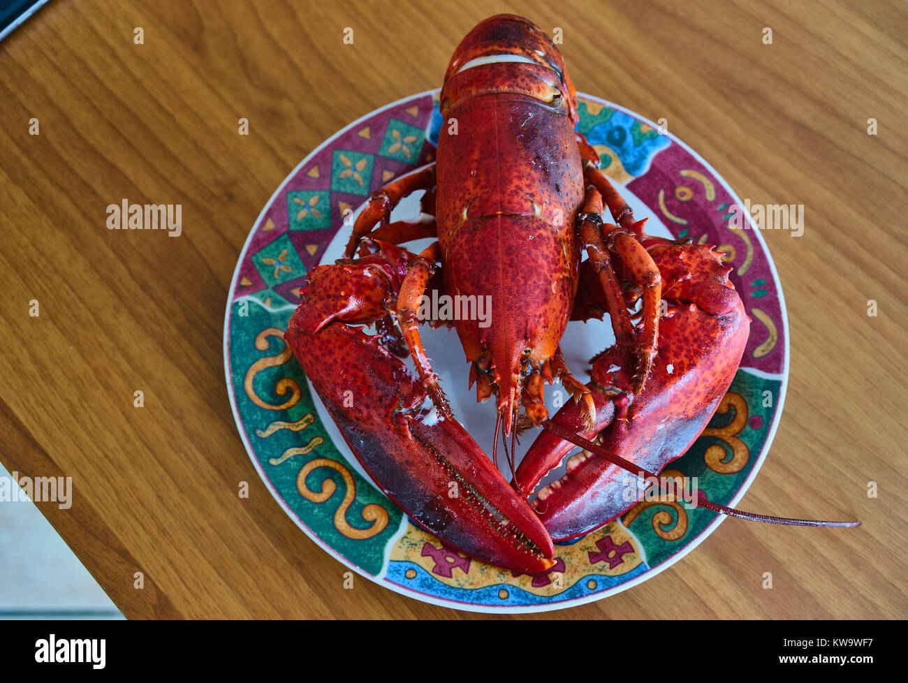 Lobster cooking pot hires stock photography and images Alamy