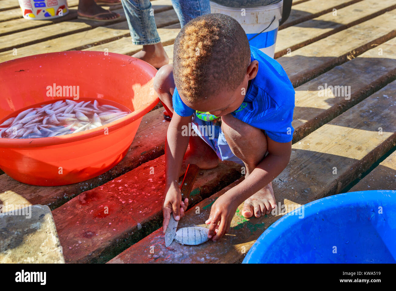 Small boy descaling a freshly caught fish on the pier at Santa Maria, Sal Island, Salina, Cape Verde, Africa Stock Photo