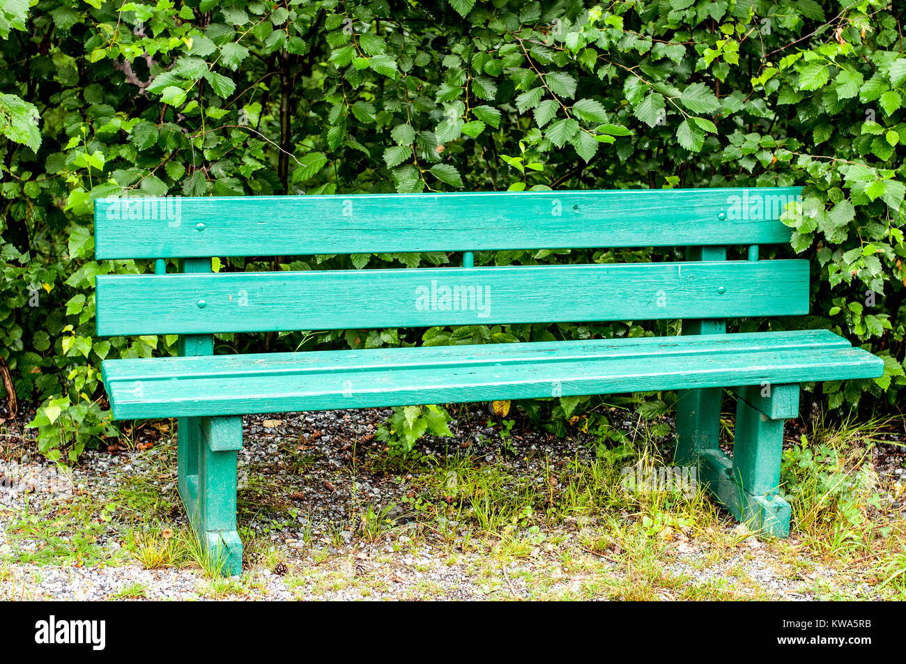 green bench in a park Stock Photo Alamy