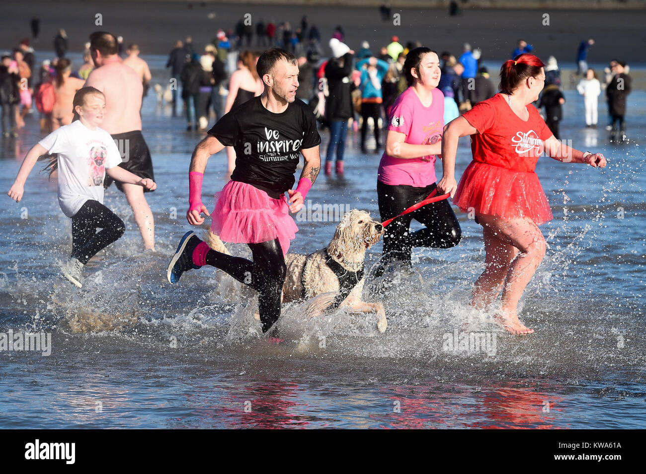 Swimmers run into in the sea at the Barry Island New Year Day Swim at Whitmore Bay, in the Vale of Glamorgan, South Wales, during the 34th annual New Year day swim, which originally started when five members of the Jacksons Bay Lifeguard Club decided to shake off their hangovers with a bracing dip, by completely submerging themselves three times. Stock Photo