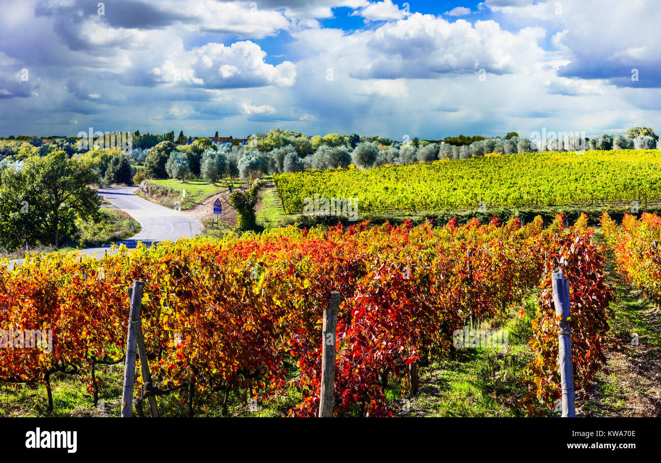 Impressive autumn landscape,view with colorful vineyards,tscany,Italy. Stock Photo