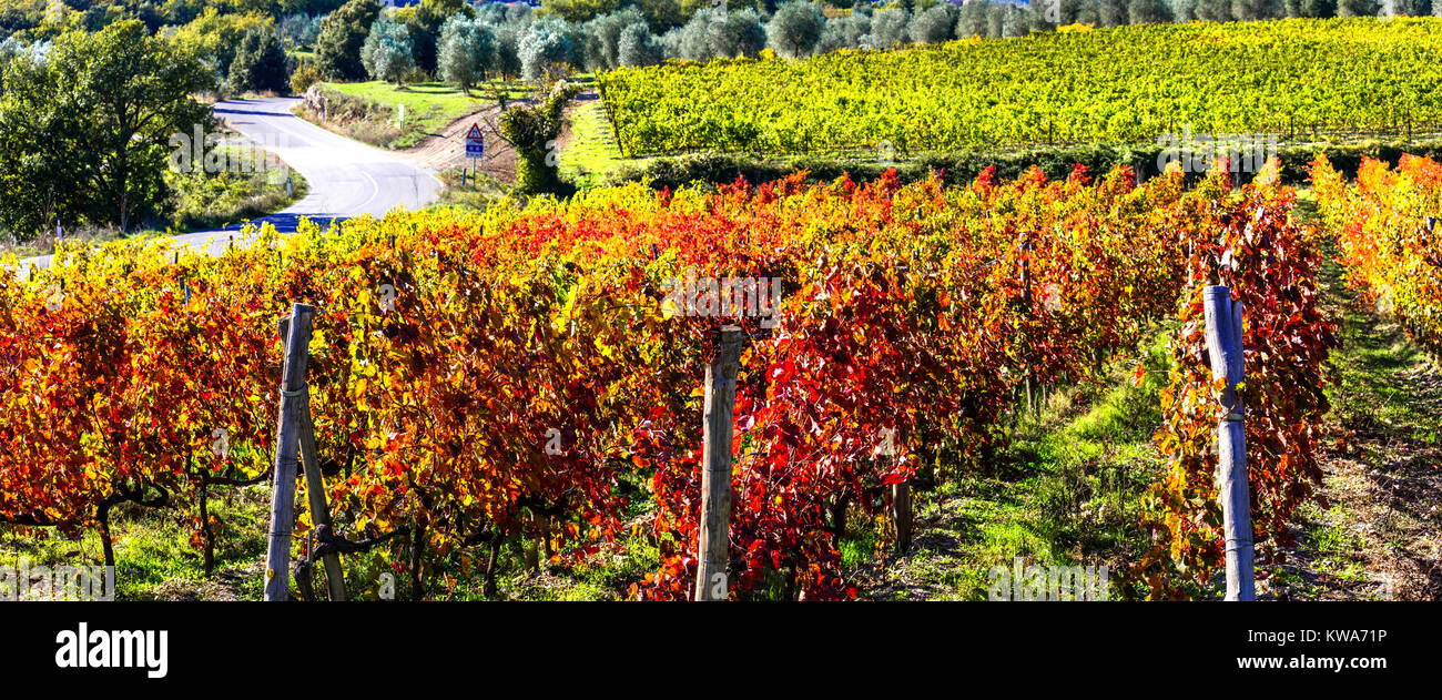 Impressive autumn landscape,view with colorful vineyards,Chianti,Tuscany,Italy. Stock Photo