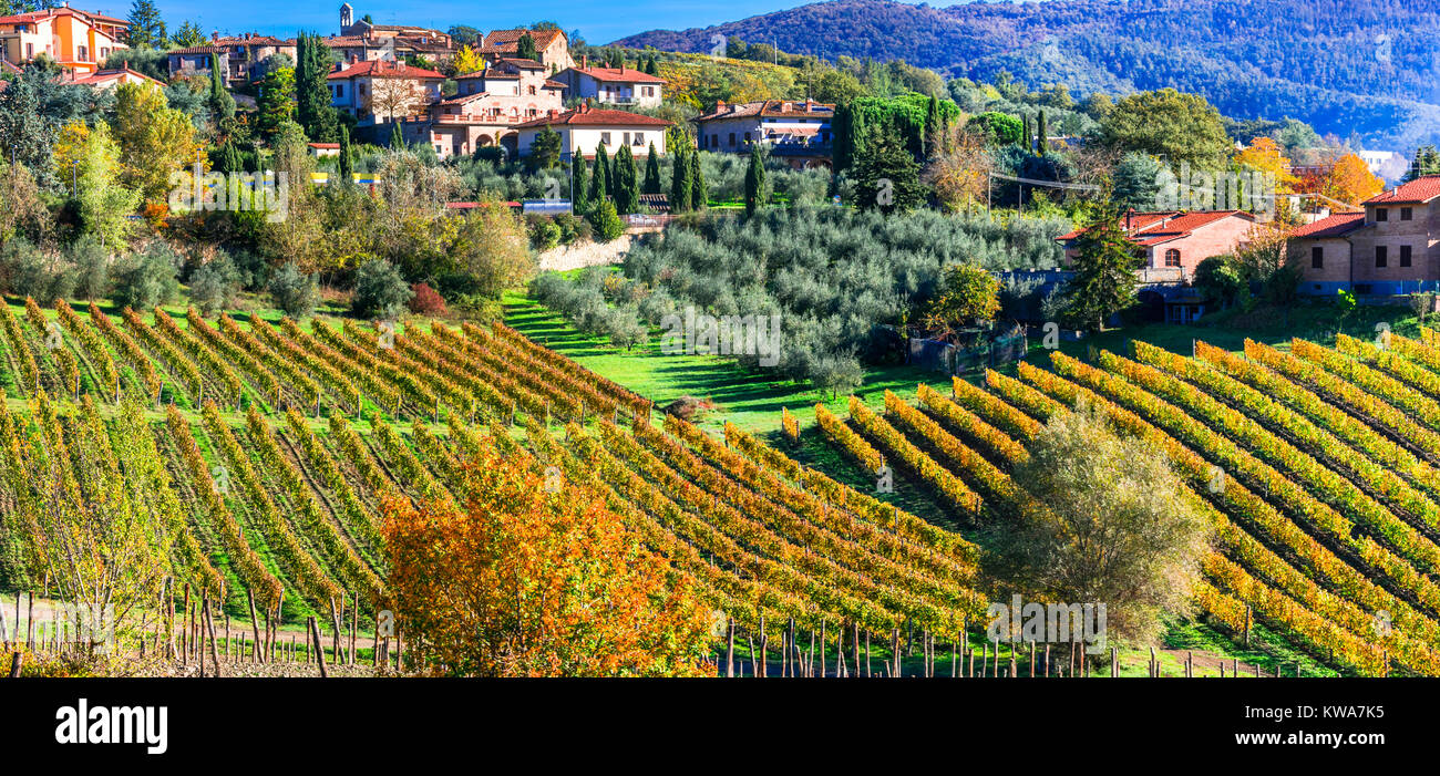 Impressive Chianti region,view with multicolored vineyards,Tuscany,Italy. Stock Photo