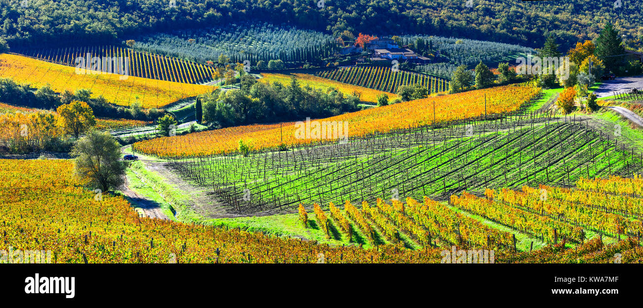 Impressive autumn landscape,Chianti region,Tuscany,Italy. Stock Photo