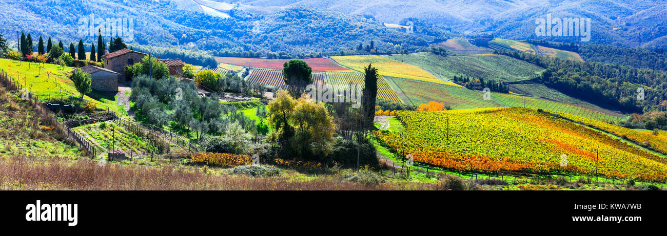 Impressive autumn landscape,view with vineyards and cypresses,Chianti,Tuscany,Italy. Stock Photo