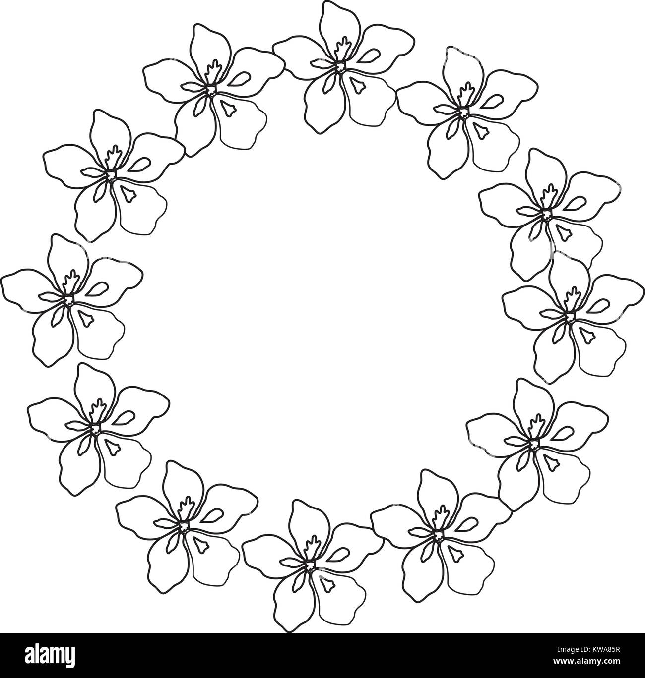 Floral frame isolated Stock Vector Image & Art - Alamy