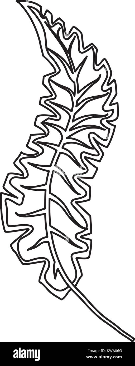 Leaf eco symbol Stock Vector Image & Art Alamy