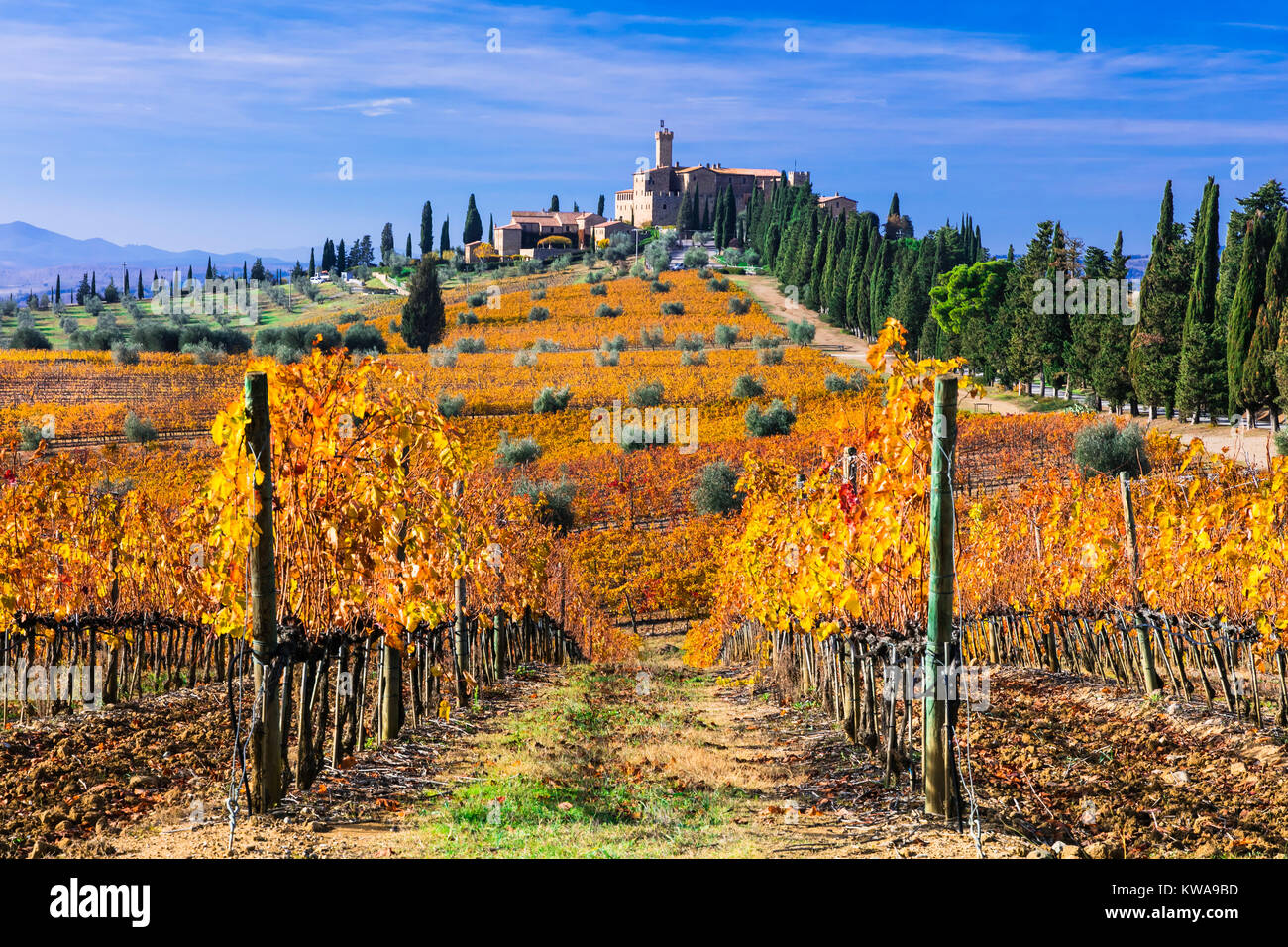 Impressive Banfi castle,view with vineyards,Tuscany,Italy. Stock Photo