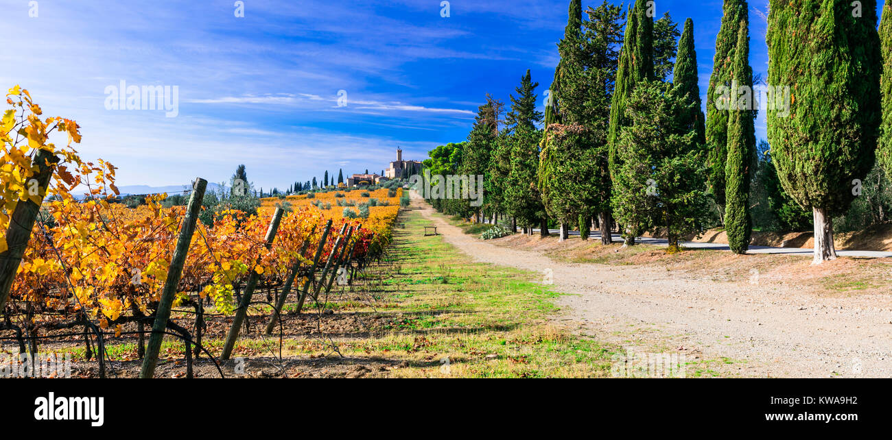 Impressive Banfi castle,view with vineyards and cypresses,Montalcino,Tuscany,Italy. Stock Photo