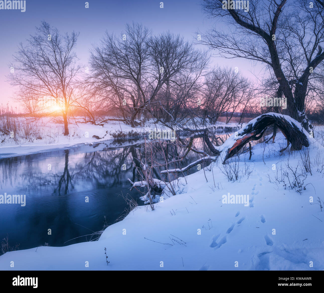 Winter forest and river at sunset. Colorful landscape with trees, river with reflection in water in cold evening. Forest, lake, sun and purple sky. Be Stock Photo