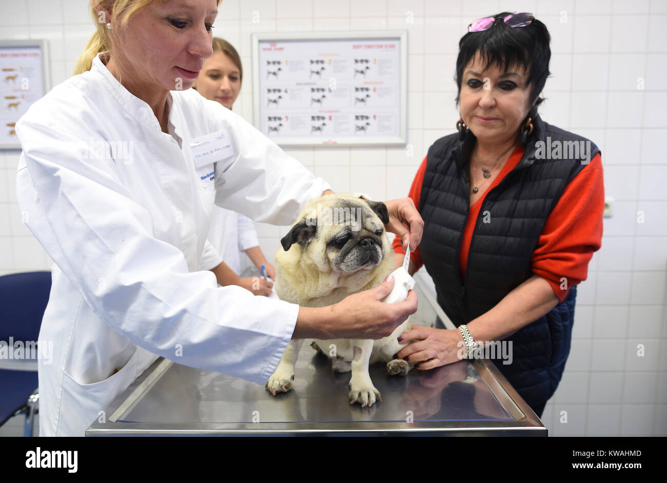 Dr Uschi High Resolution Stock Photography and Images - Alamy