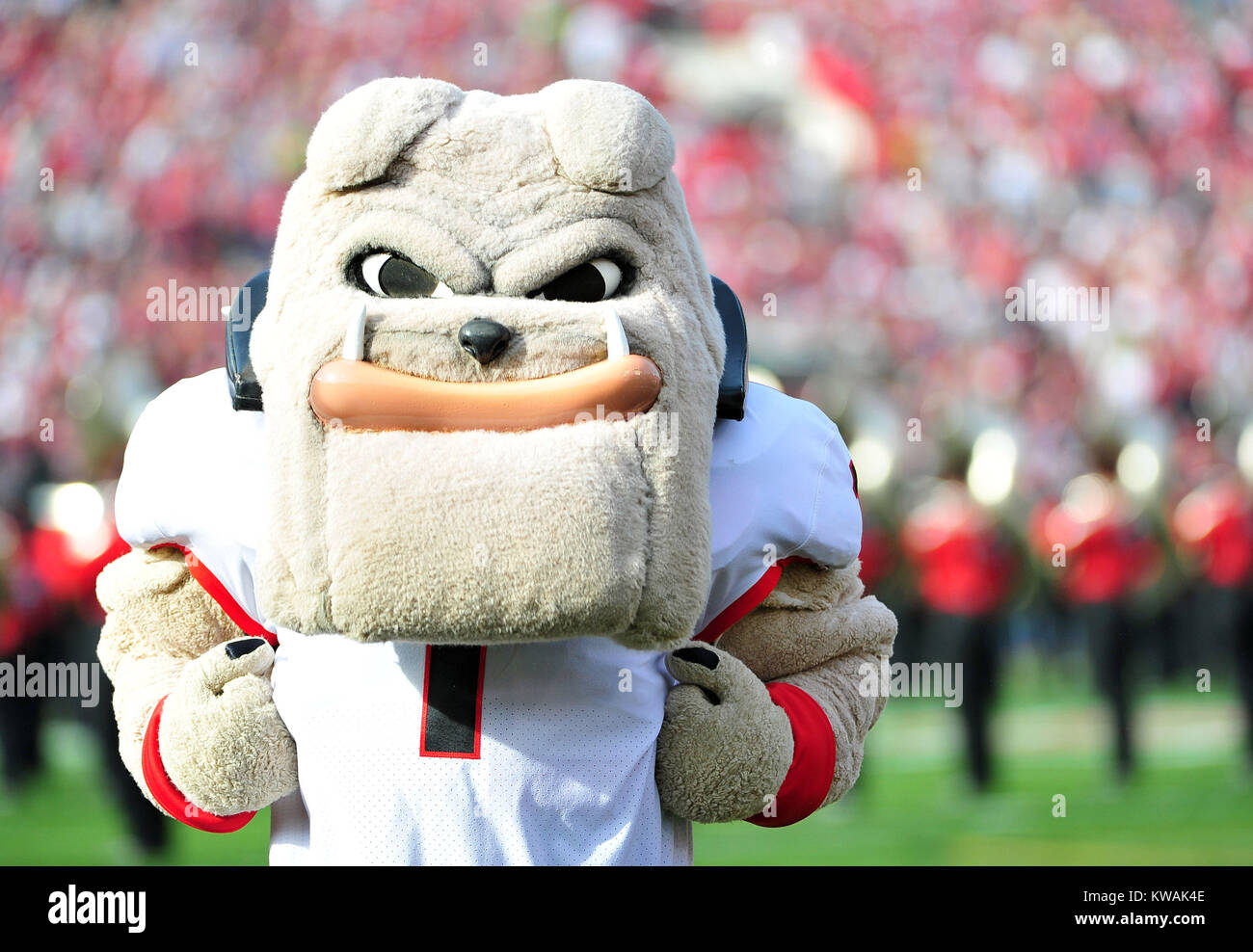 Atlanta, Georgia. 27th Nov, 2021. Georgia's Hairy Dog mascot and