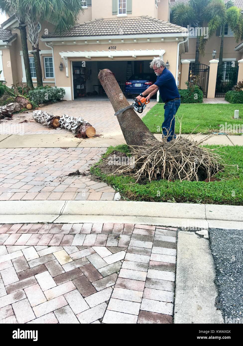 In West Palm Beach, Florida, a man uses a chainsaw to clear a fallen tree off the driveway of his home following Hurricane Matthew, October 7, 2016. Stock Photo