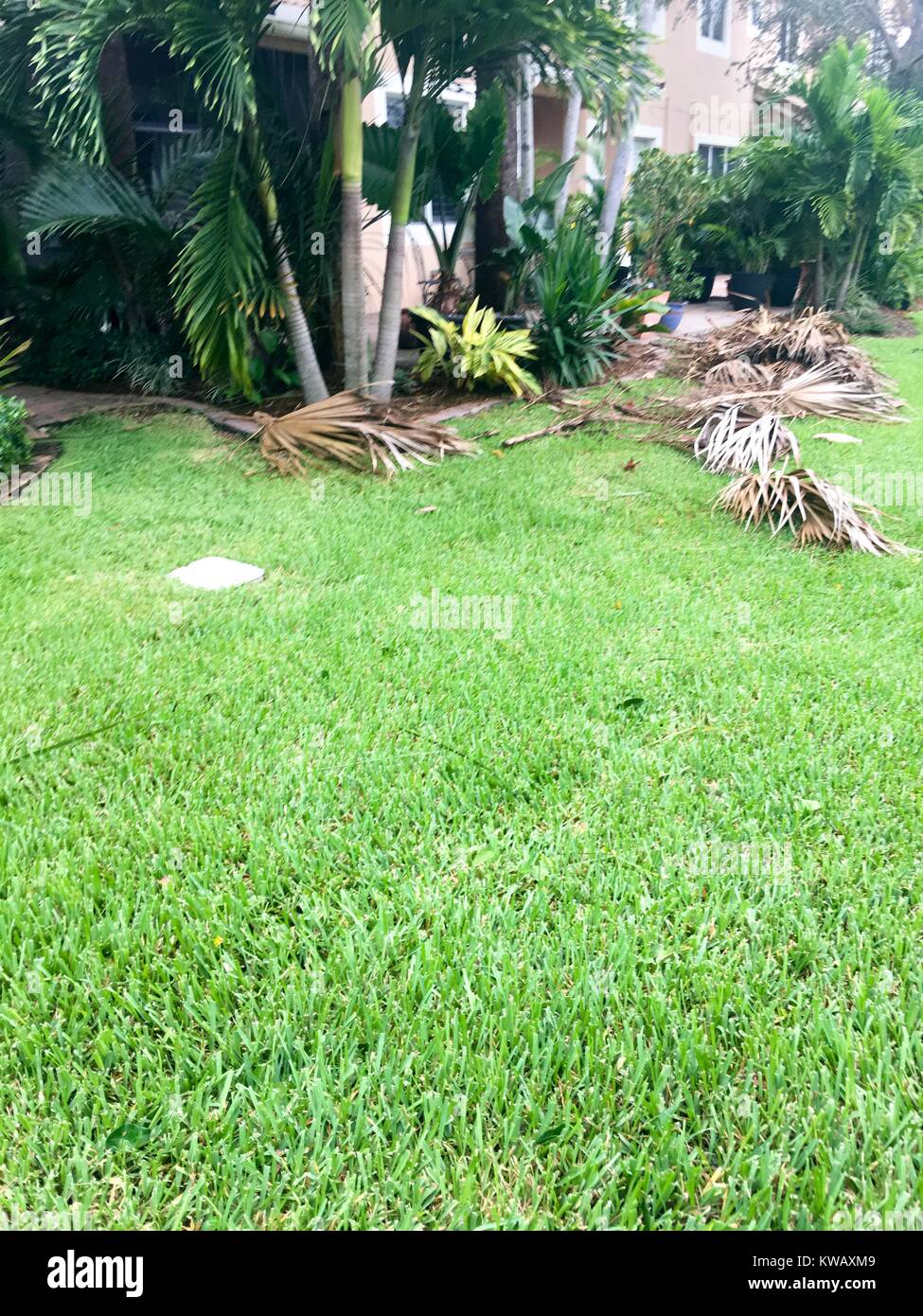 In the aftermath of Hurricane Matthew, debris litters a backyard in West Palm Beach, Florida, October 7, 2016. Stock Photo