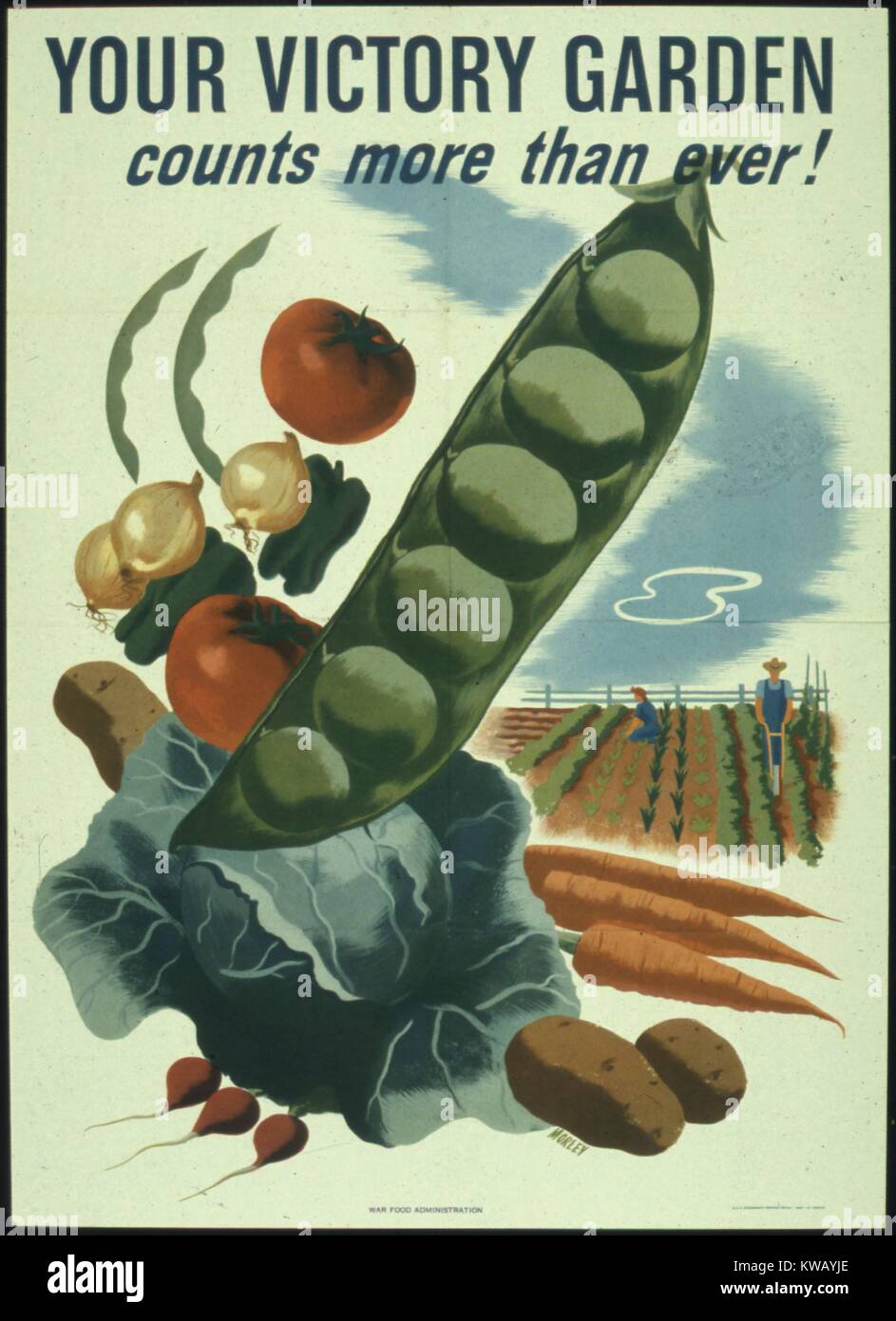 Government issued wartime poster encouraging Americans to make use of their victory gardens, 1941. Stock Photo