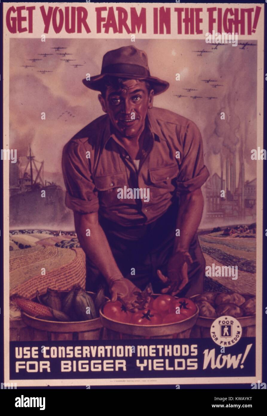 Government issued wartime poster encouraging Americans to farm, 1943. Stock Photo