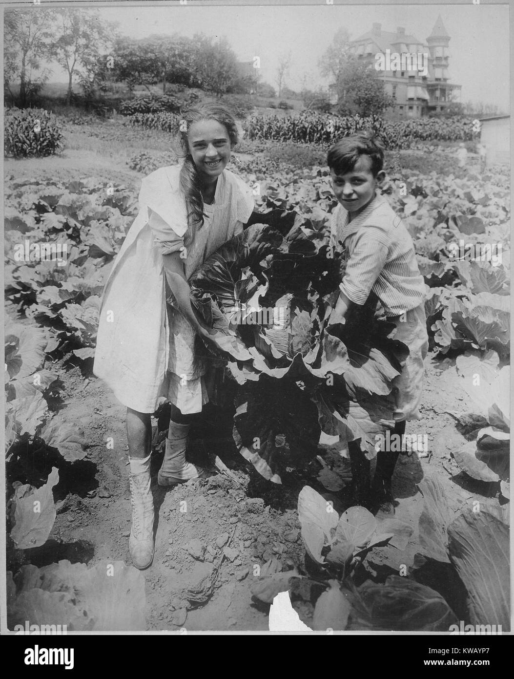 A boy and girl smile and proudly hold an enormous head of cabbage they grew at the War garden of Public School 88, a large plot of land raising fruits and vegetables for the US war efforts, Borough of Queens, New York, New York, 1918. Image courtesy National Archives. Stock Photo