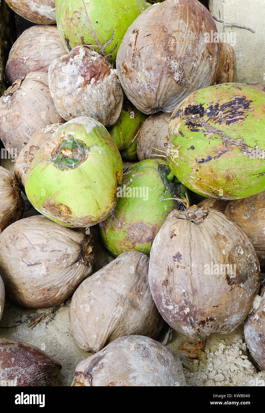 Dried coconut fruits for sale at Central Market in Palawan, Philippines