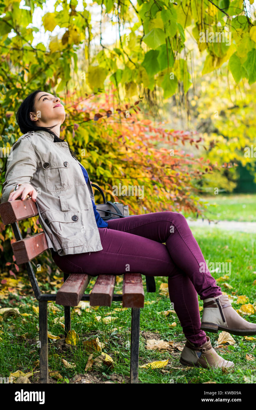 Admiring Fall Colors on a Bench Stock Photo