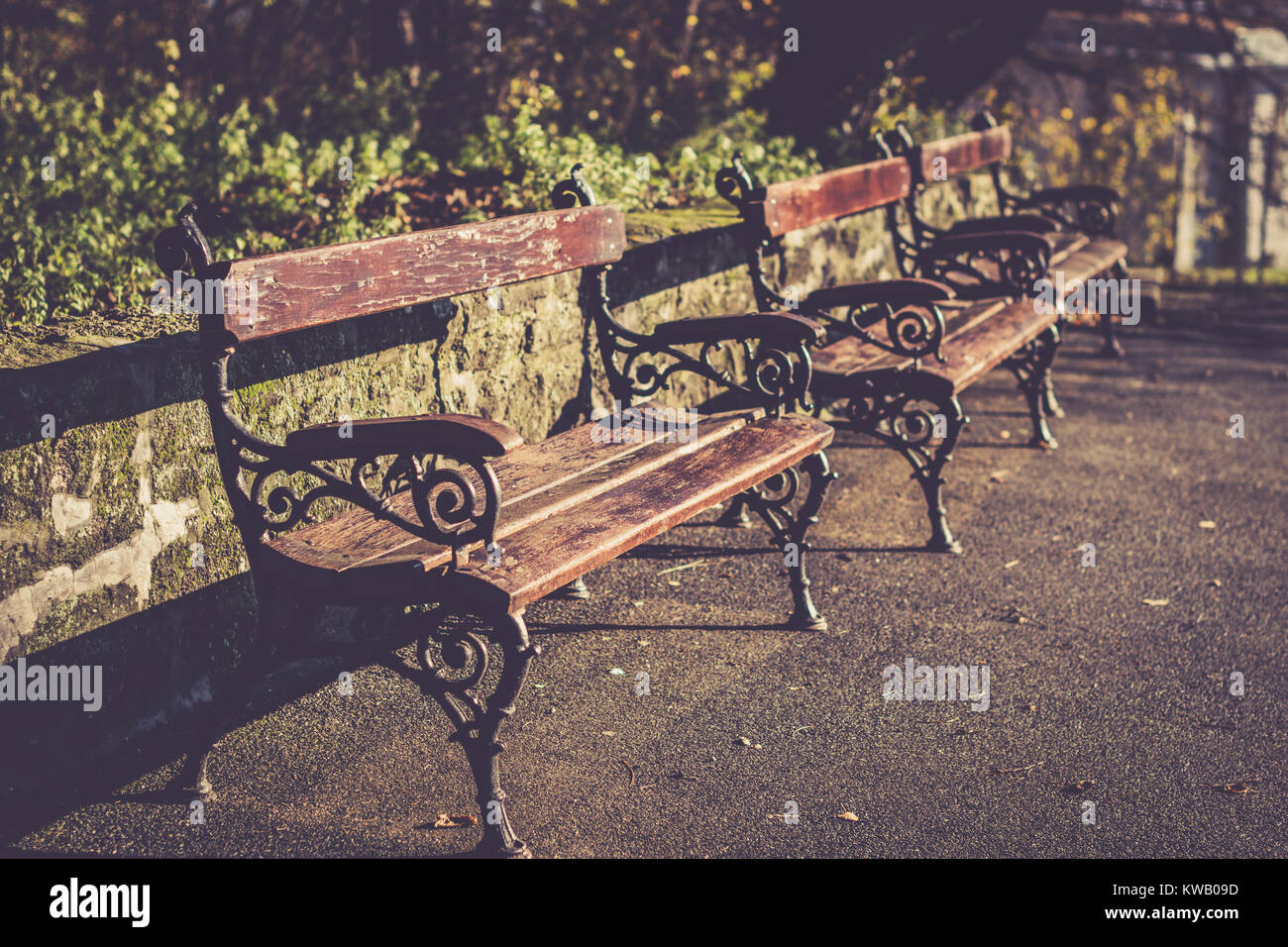 Vintage Benches Stock Photo