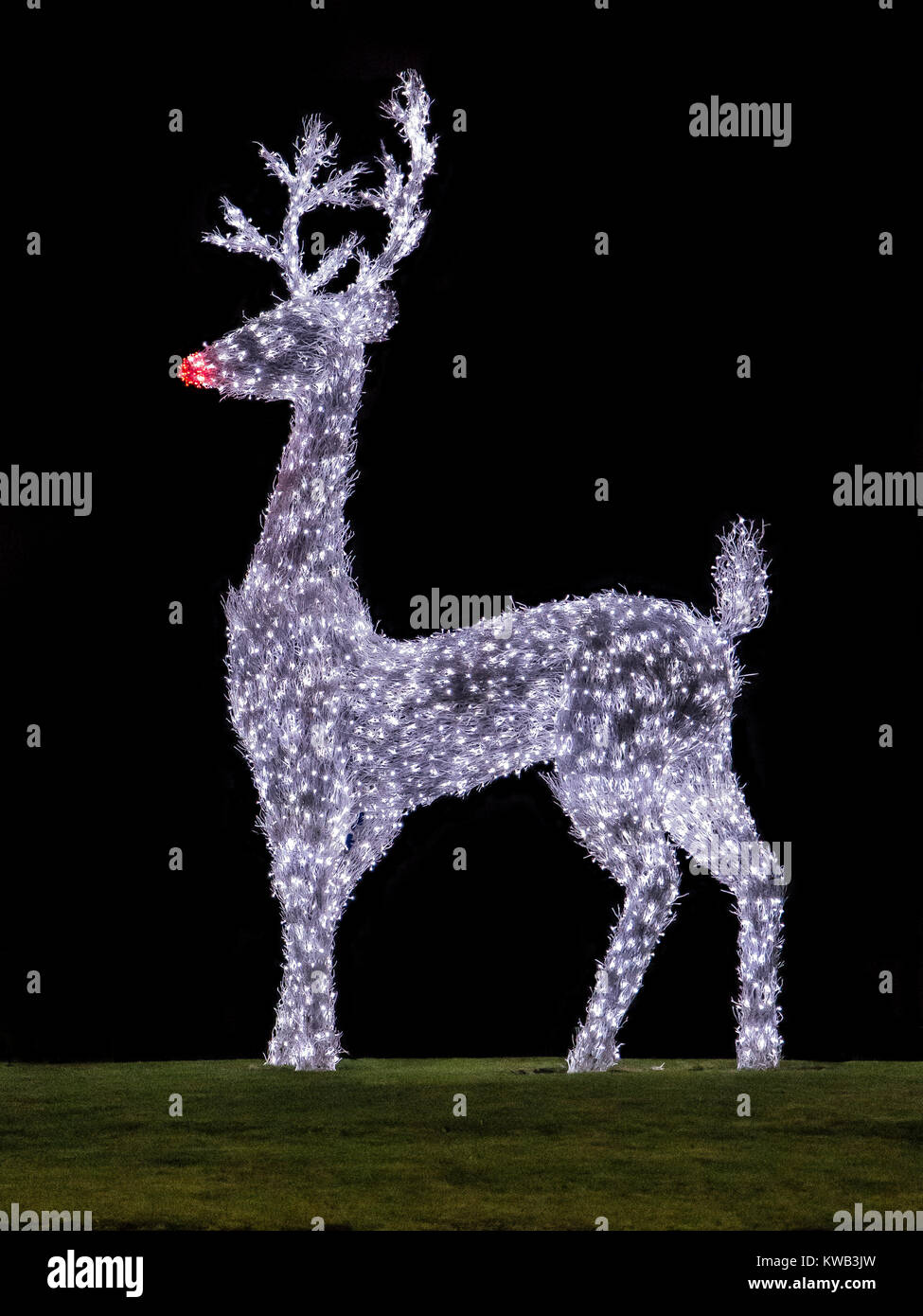 Blue Water Giant Christmas Reindeer structure Stock Photo