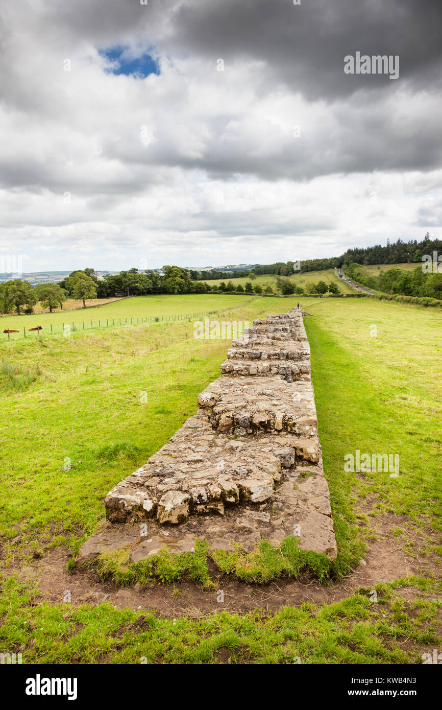 NORTHUMBERLAND, ENGLAND - JULY 28, 2012: A section of Hadrian's Wall in ...