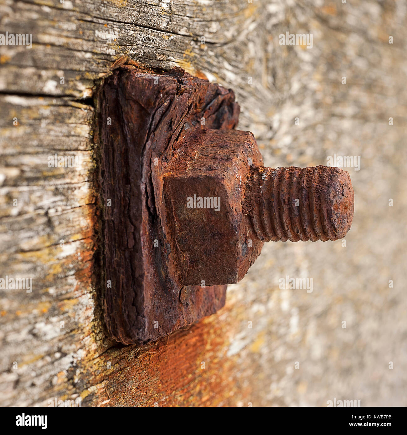 Rusty old bolt Stock Photo Alamy