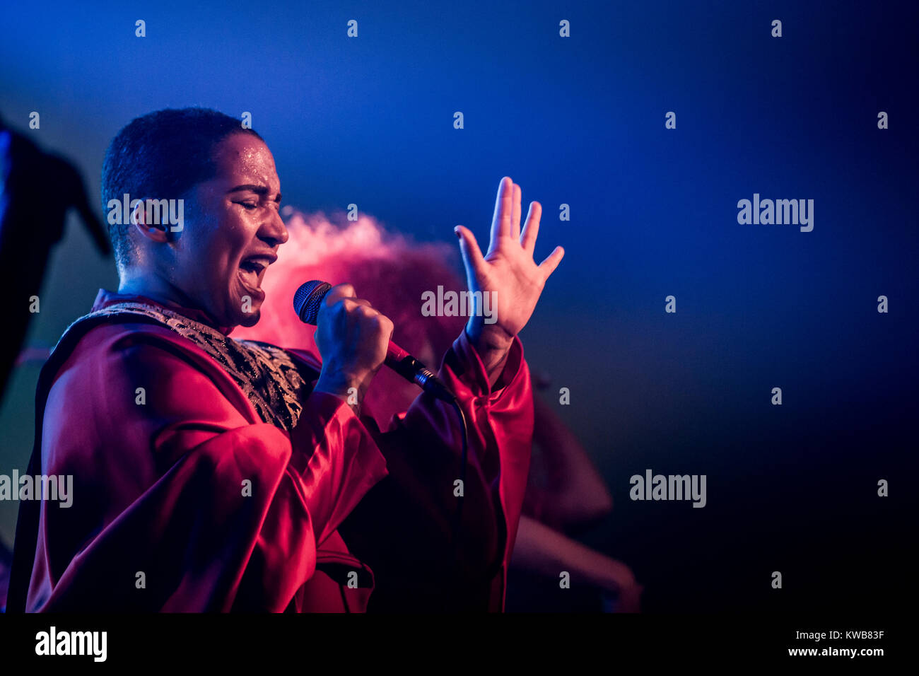 The Danish-Zambian singer and rapper Lucy Love performs a live concert at Forbrænding outside Copenhagen. Lucy love is known as a talented grime rapper and has so far released three studio albums. Denmark, 25/10 2014. Stock Photo