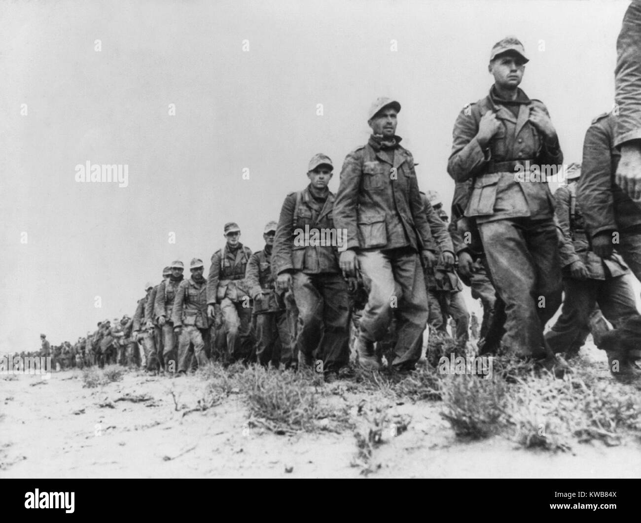 German Panzer prisoners captured during the Battle of Libya. Taken in the early phase of the battle, they are marching from the battle front to a prisoners-of-war camp near Tobruk. Ca. 1942 during World War 2. (BSLOC 2014 10 6) Stock Photo