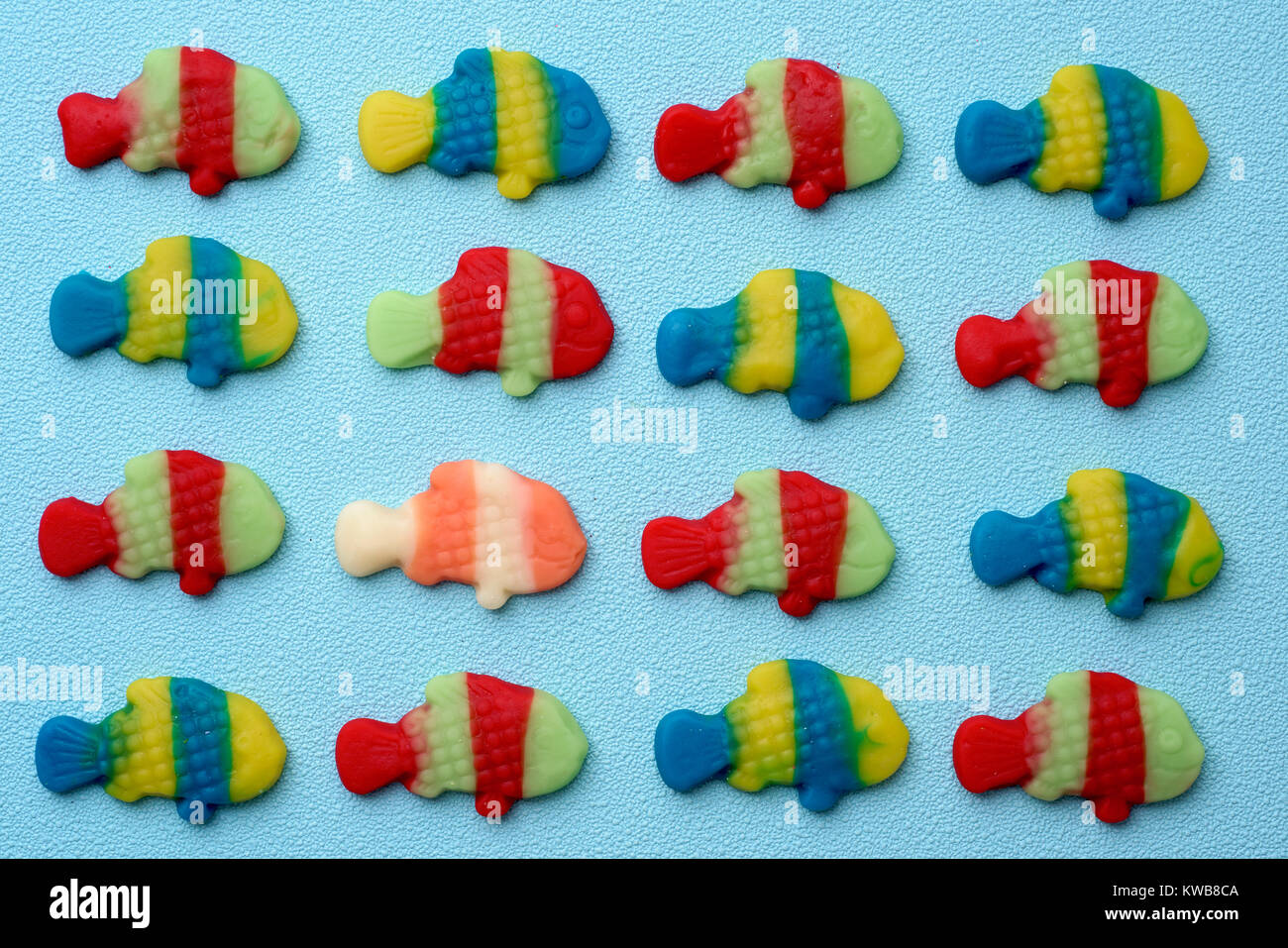 some fishshaped gummy candies put in line on a blue background and a
