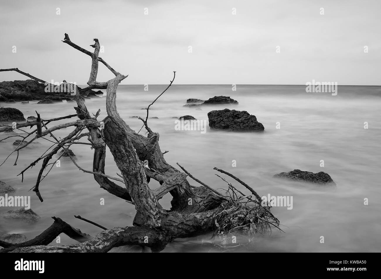 Long exposure at the beach Stock Photo - Alamy