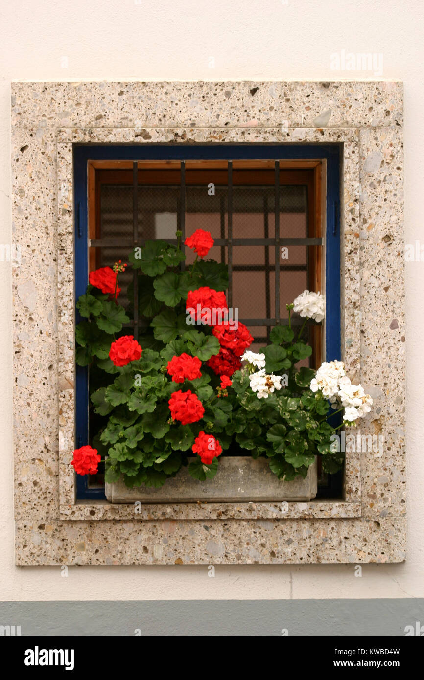 Colorful window with geraniums, Austria Stock Photo - Alamy