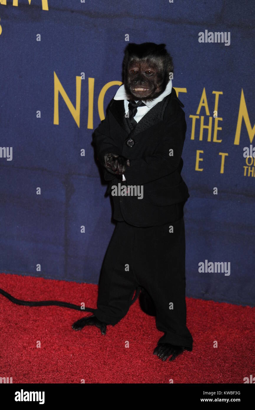 NEW YORK, NY DECEMBER 11 Crystal The Monkey attends the 'Night At