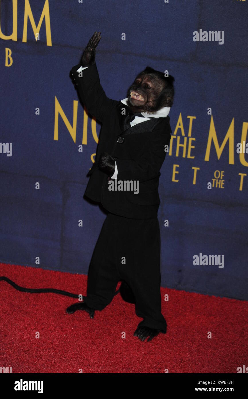 NEW YORK, NY - DECEMBER 11: Crystal The Monkey attends the 'Night At The Museum: Secret Of The Tomb' New York Premiere at Ziegfeld Theater on December 11, 2014 in New York City.  People:  Crystal The Monkey Stock Photo