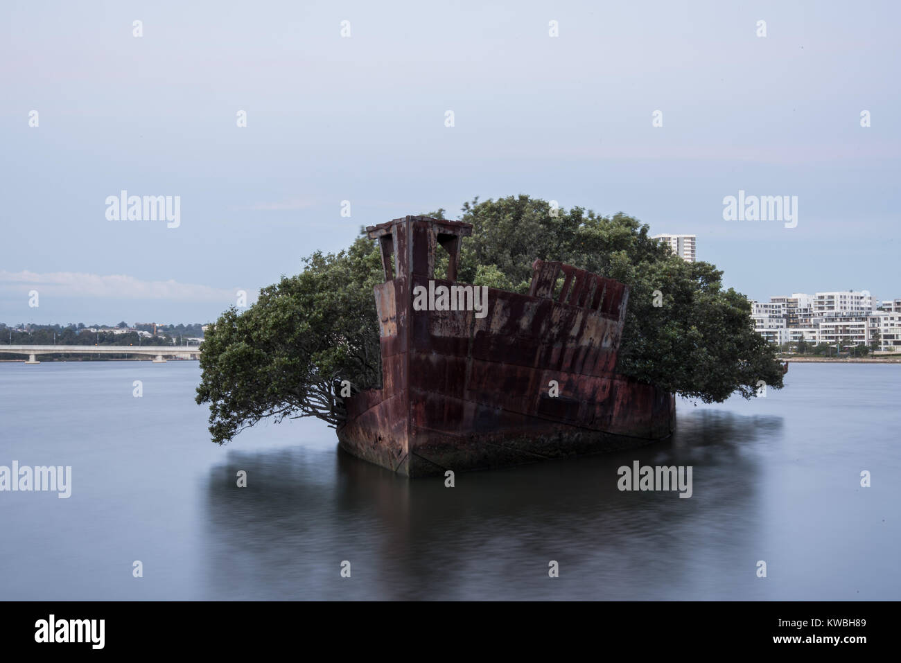 SS Ayrfield Shipwreck located in Homebush Bay Sydney New South Wales