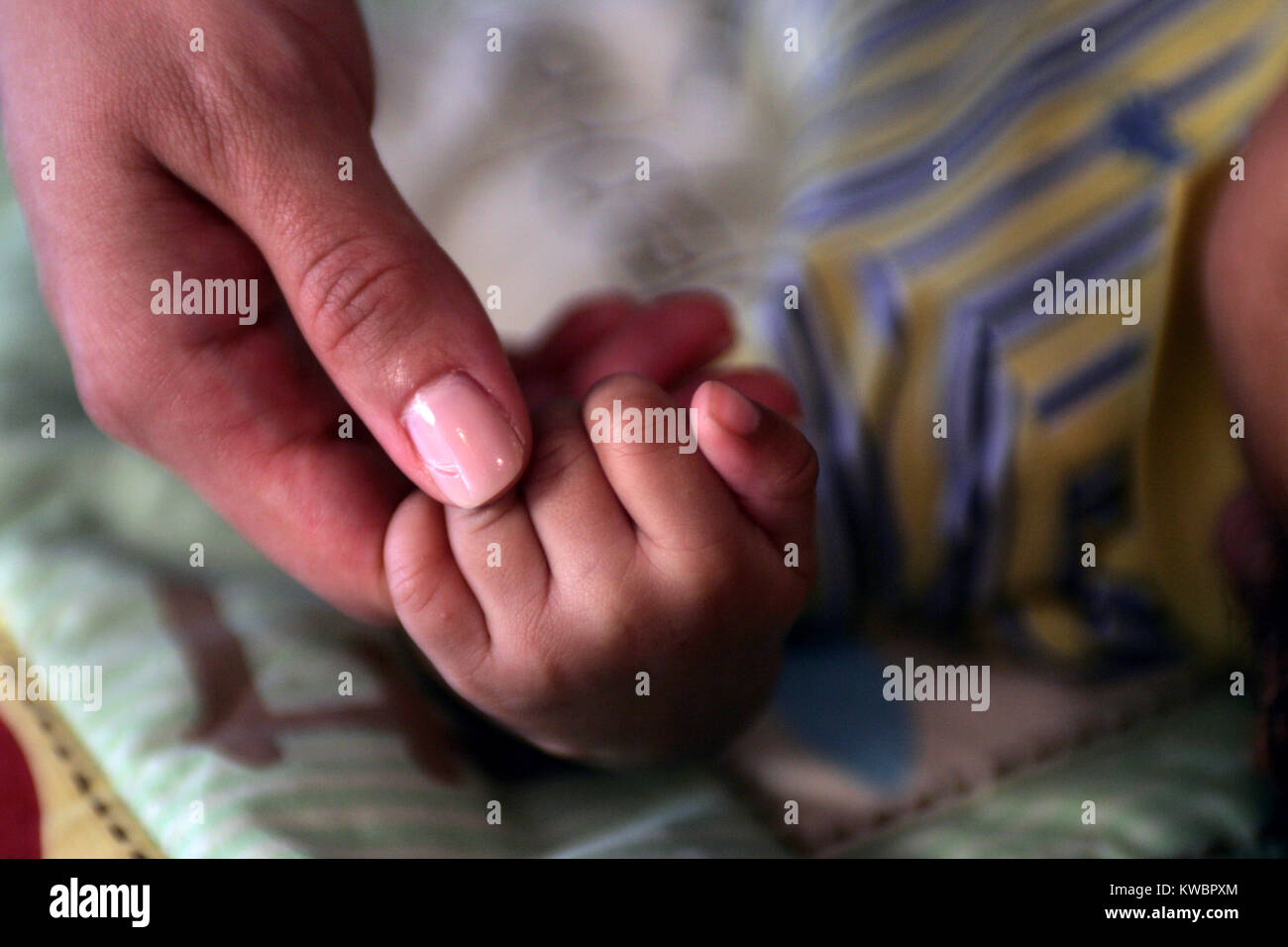 Infant holding Mother's hand Stock Photo