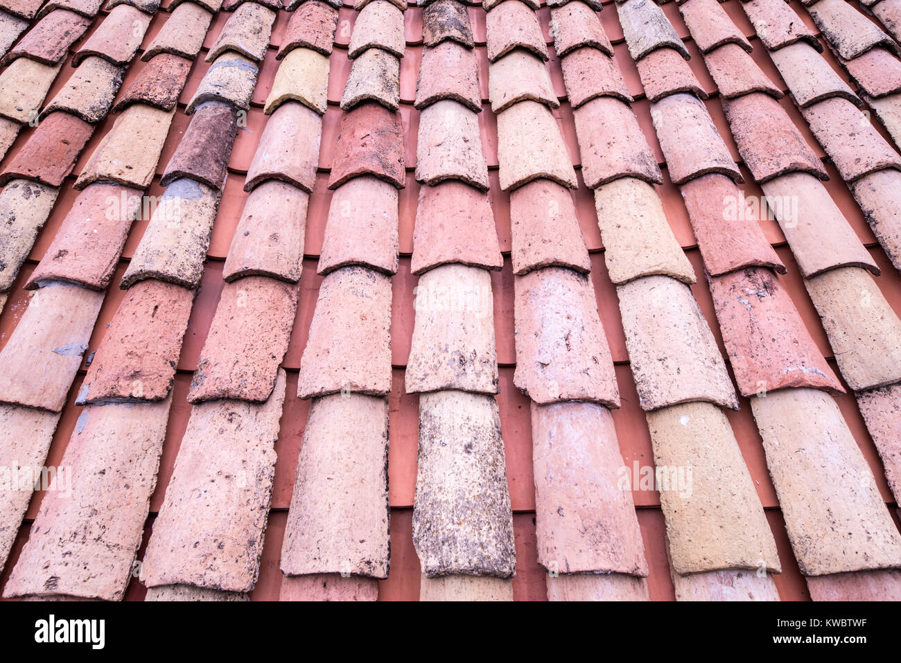 Old clay ceramic roofing tile with pine needles Stock Photo Alamy