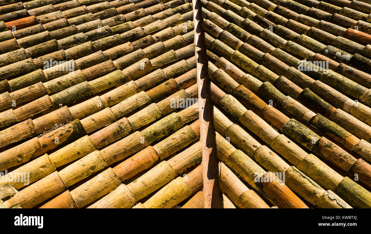 Old clay ceramic roofing tile with pine needles Stock Photo Alamy