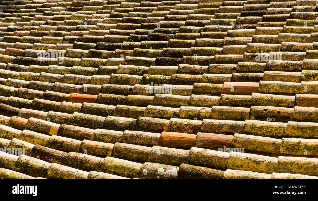 Old clay ceramic roofing tile with pine needles Stock Photo Alamy
