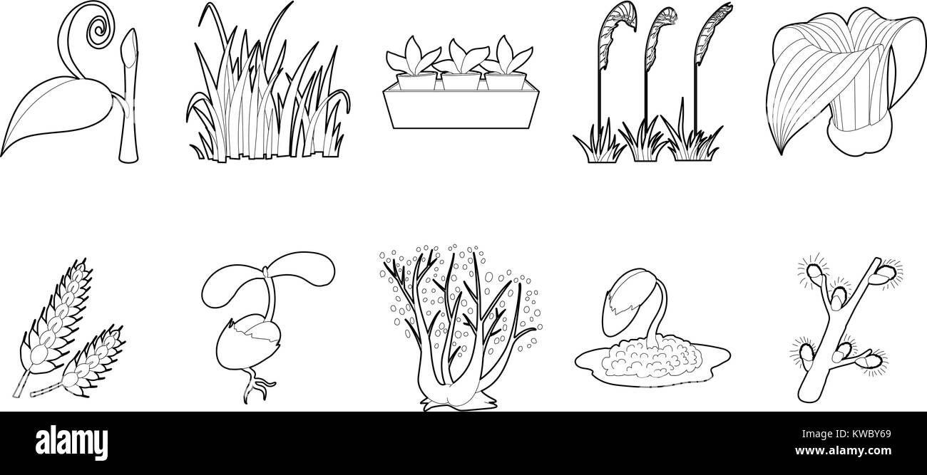 Plant icon set, outline style Stock Vector Image & Art - Alamy