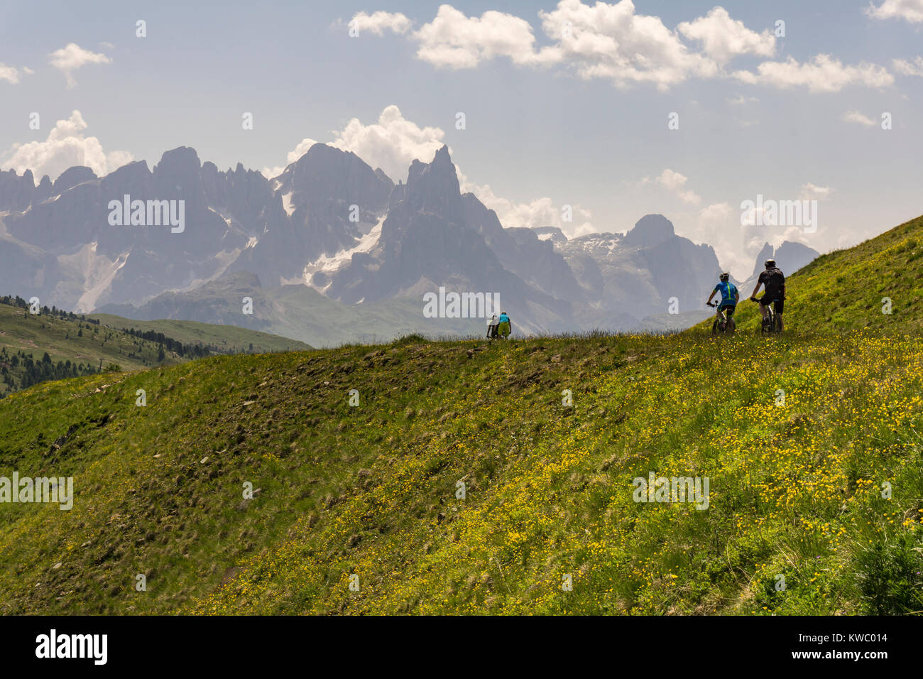 Cycling in summer in the Dolomites. Italy. Stock Photo