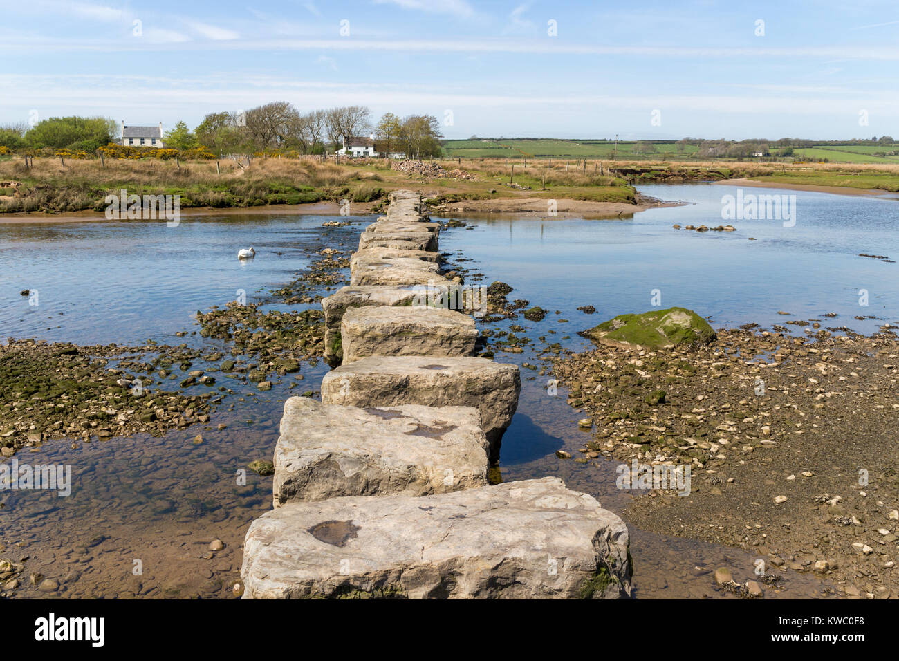 Stepping path hires stock photography and images Alamy