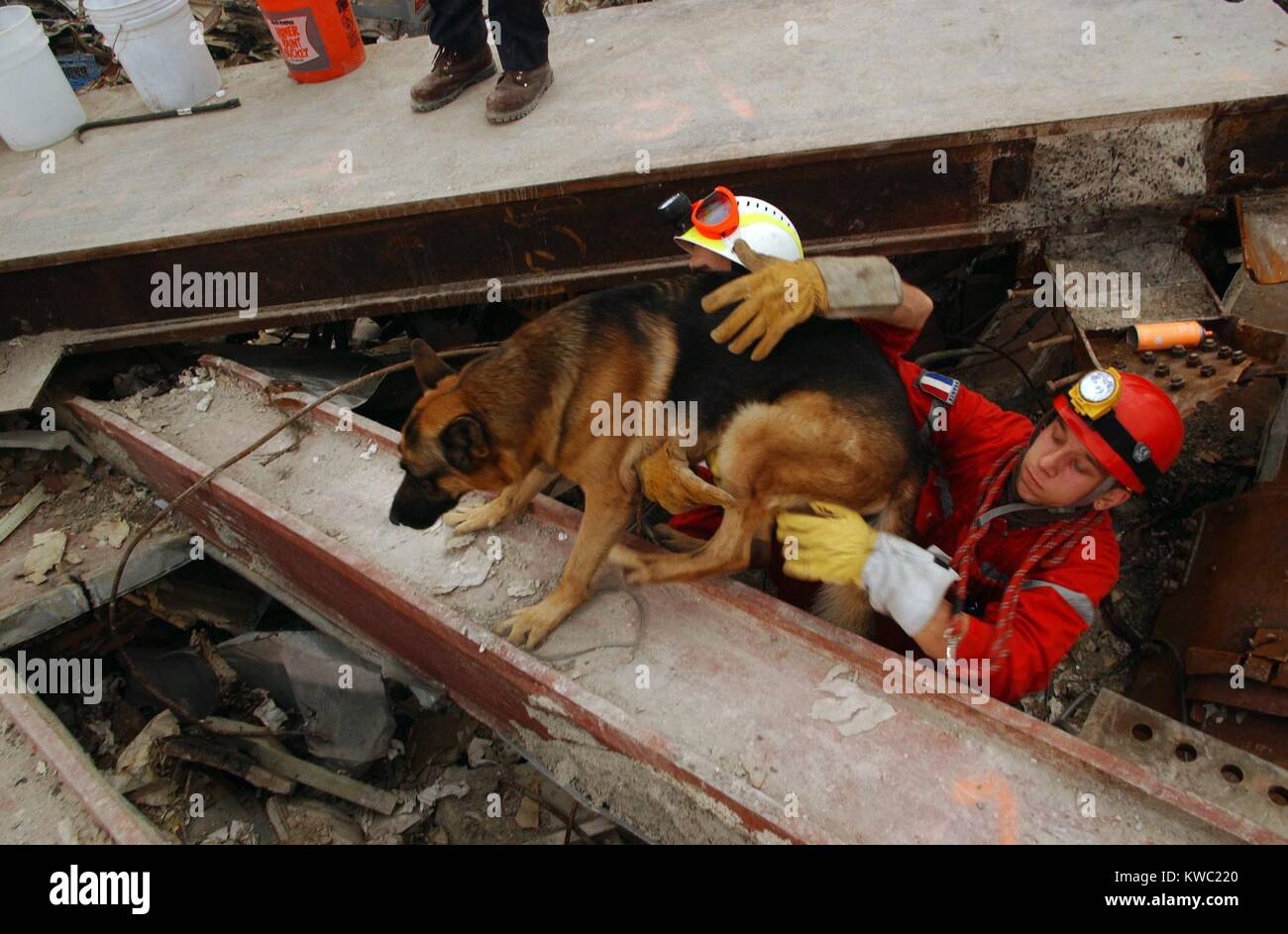A canine rescue worker and his handler emerge from the pile of rubble at Ground Zero. Sept 21, 2001. World Trade Center, New York City, after September 11, 2001 terrorist attacks. (BSLOC 2015 2 103) Stock Photo
