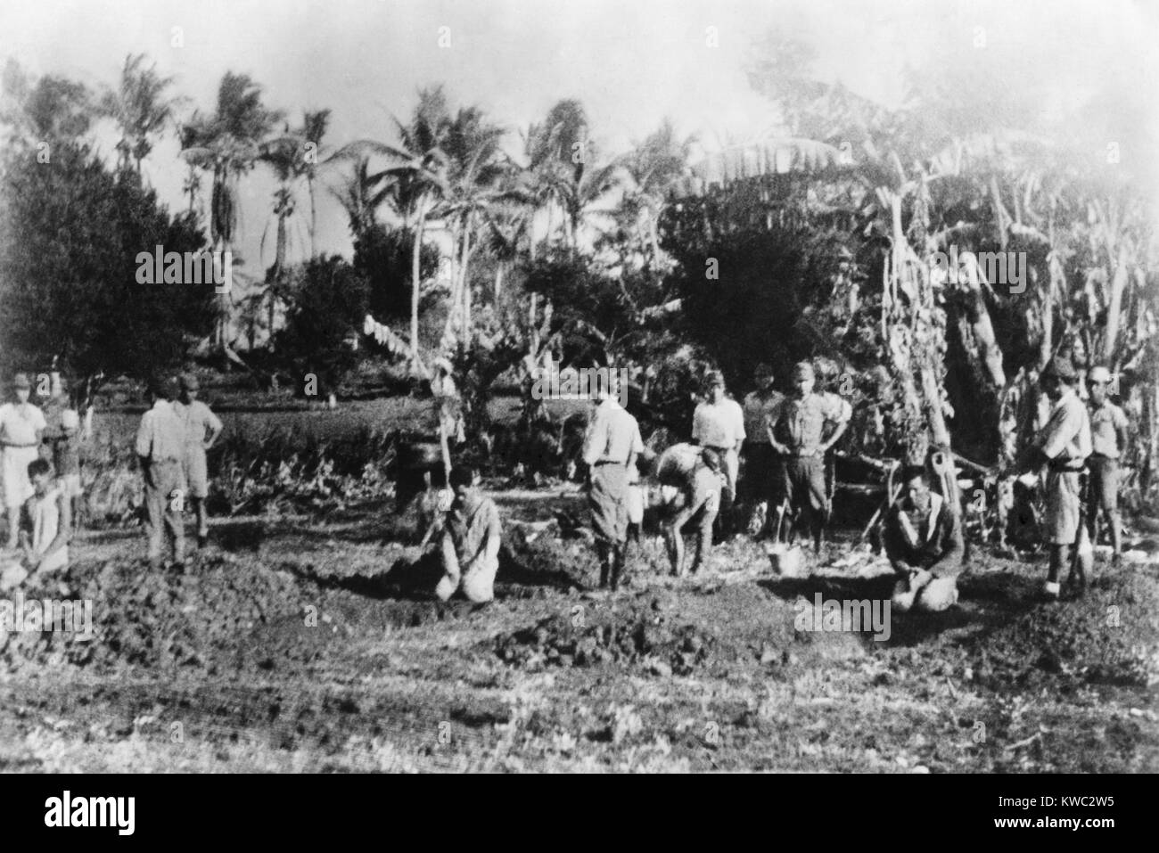 Three men kneel before their open graves on Guam in 1941. Behind them are Japanese soldiers about to decapitate them with swords. Photo was made shortly after the seizure of Guam by the Japanese. Photo was obtained in 1945 from a Japanese soldier who said it was circulated among them for 'morale' purposes. World War 2. (BSLOC 2015 13 116) Stock Photo