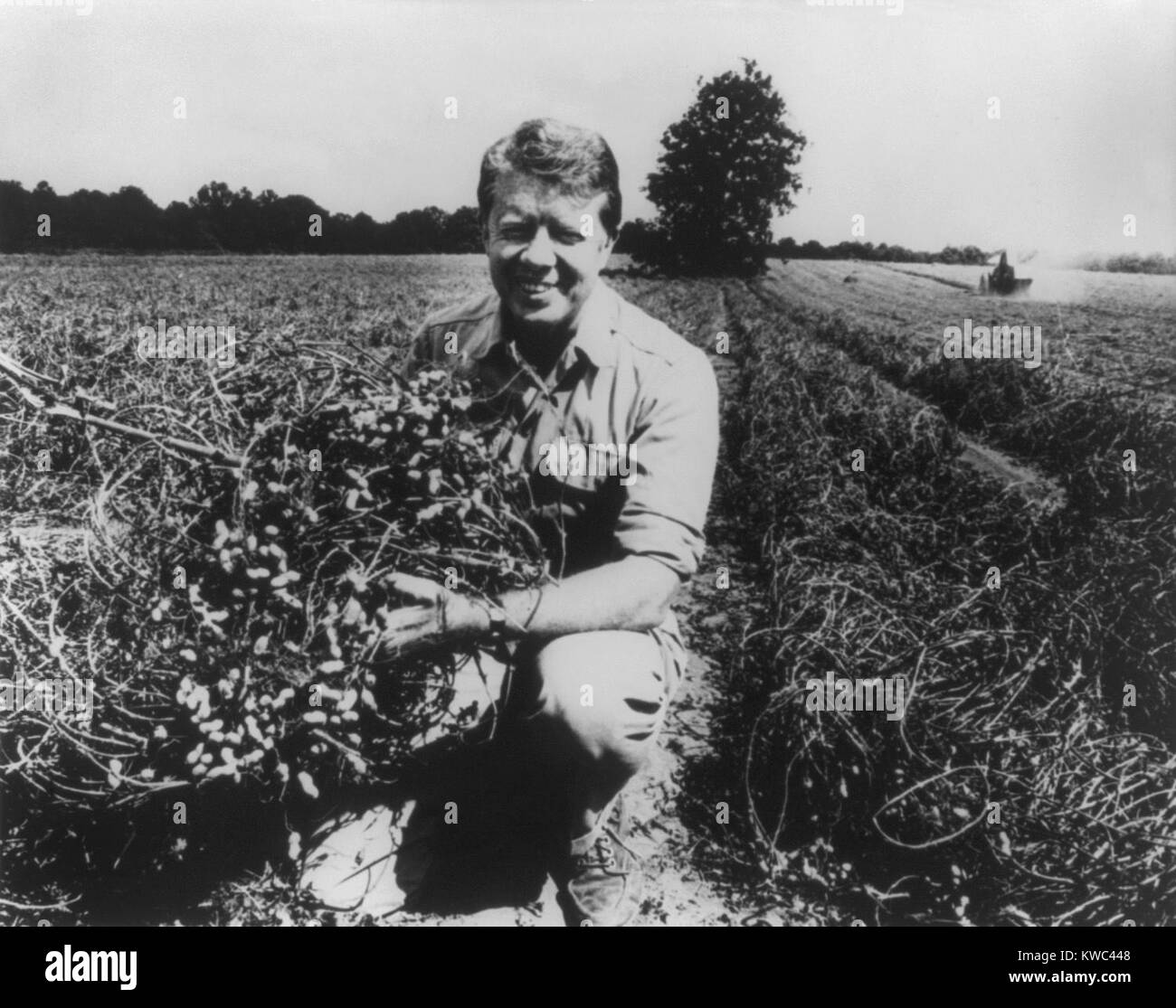 Former Georgia Governor and future President Jimmy Carter on his peanut farm in 1976. He inherited the farm from his father in 1953, and made it a successful prosperous business. (BSLOC 2015 14 67) Stock Photo