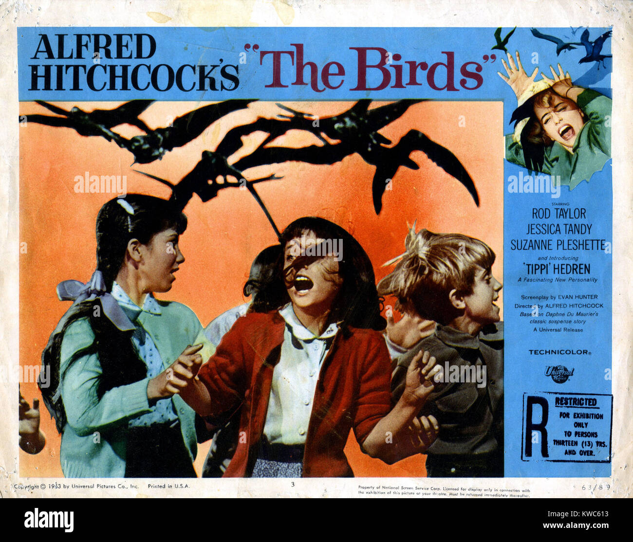 THE BIRDS, Veronica Cartwright, 1963 Stock Photo