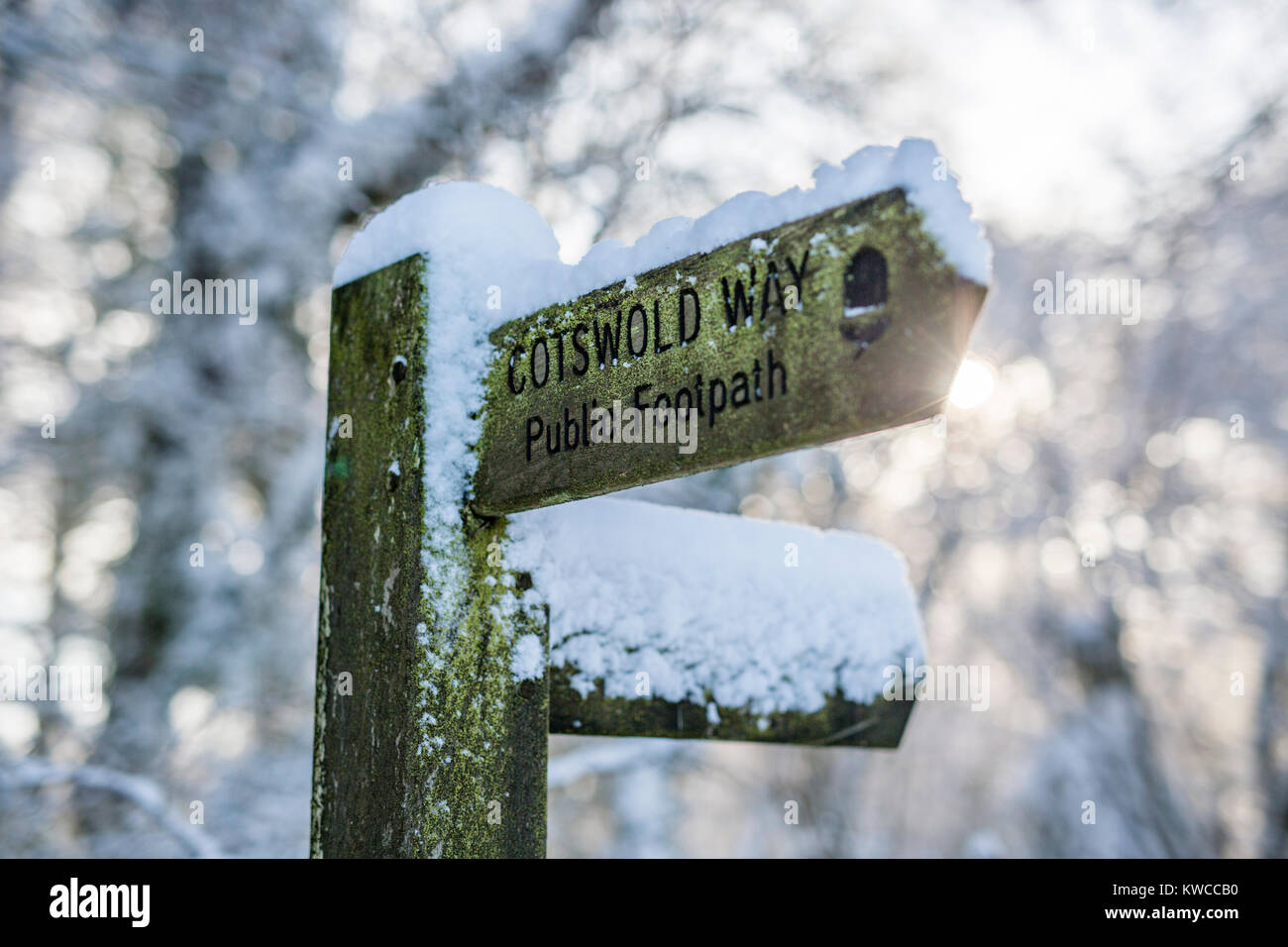 Cotswold Way National Trail finger post covered in snow, Crickley Hill, Gloucestershire, UK Stock Photo