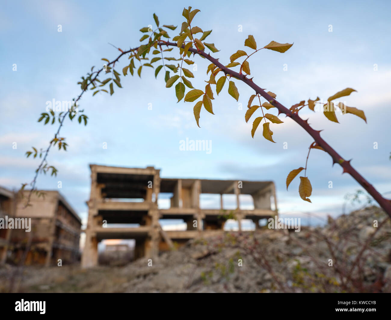 Demolished landscape hi-res stock photography and images - Alamy