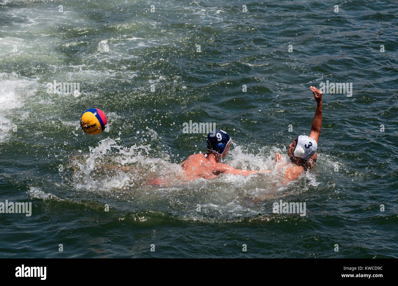 Water polo match on Cape Town Harbour, Western Cape, South Africa